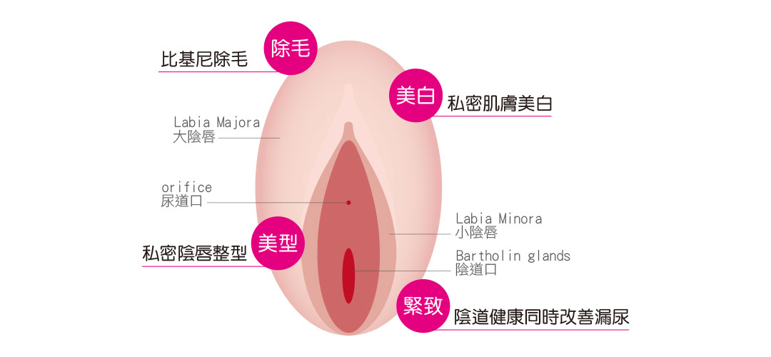 閨密女醫黃馨慧醫師女性私密處保養